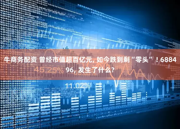 牛商务配资 曾经市值超百亿元, 如今跌到剩“零头” ! 688496, 发生了什么?